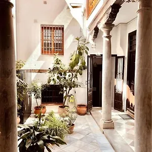 Charming, Spacious Albayzin Apartamento
